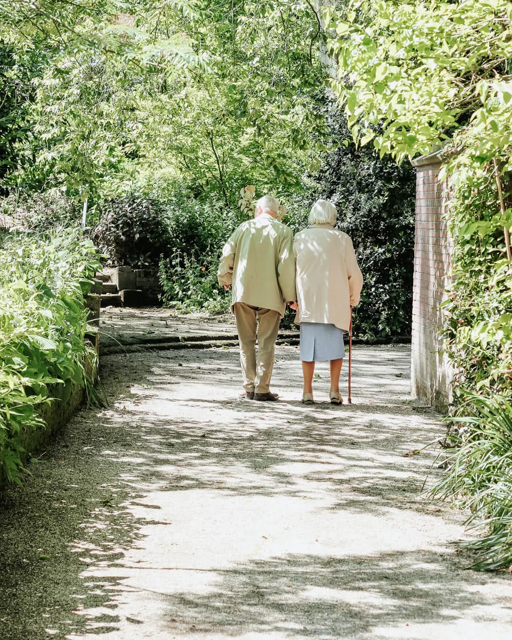 Casal de idosos de mãos dadas, de costas, caminhando por um jardim